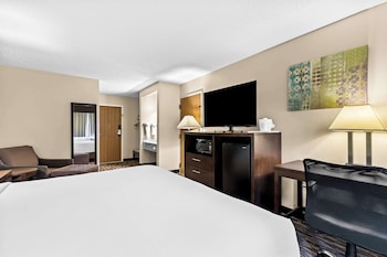 Executive Room, 1 King Bed, Non Smoking, Refrigerator & Microwave (Larger Room)