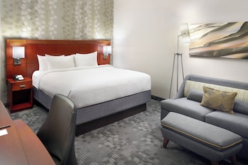 Room, 1 King Bed with Sofa bed (Hearing Accessible)