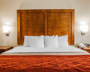 Standard Room, 1 King Bed, Non Smoking