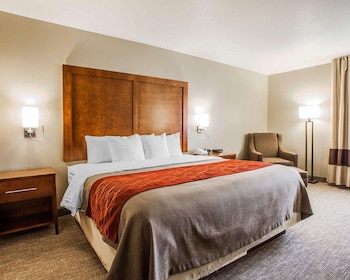 Standard Room, 1 King Bed, Non Smoking