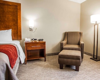 Standard Room, 1 King Bed, Non Smoking