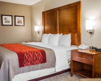 Standard Room, 1 King Bed, Non Smoking