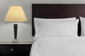 Standard Room, 1 Queen Bed, Roll-in Shower (Mobility)