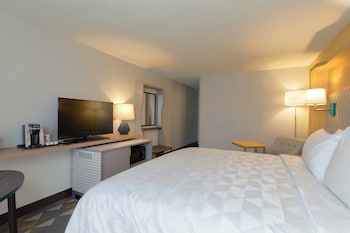 Standard Room, 1 King Bed with Sofa bed
