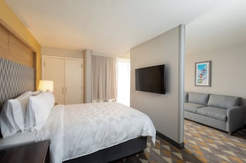 Suite, 1 Queen Bed with Sofa bed