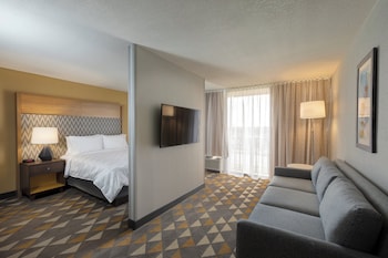Premium Room, 1 King Bed with Sofa bed