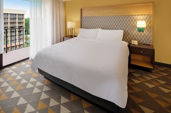 Suite, 1 King Bed with Sofa bed
