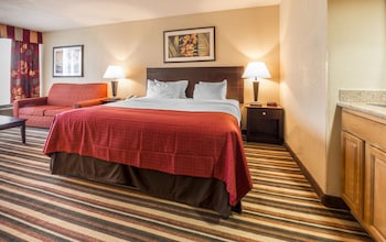 Premium Room, 1 King Bed with Sofa bed