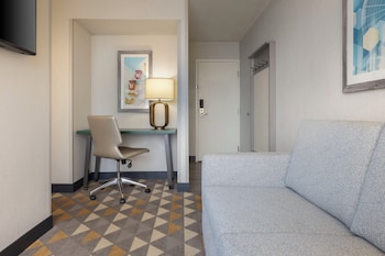 Suite, 1 Queen Bed
