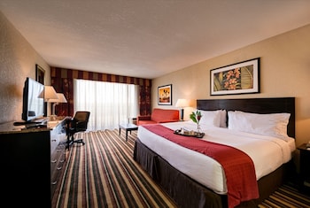 Premium Room, 1 King Bed with Sofa bed