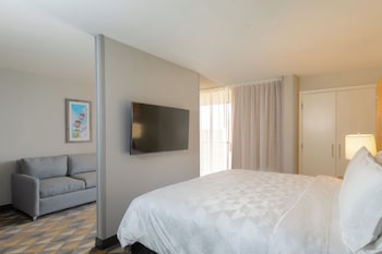 Suite, 1 Queen Bed