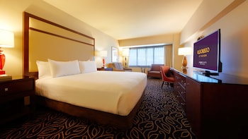 Mountain View Room King Non-Smoking