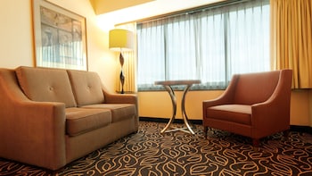 Mountain View Room King Non-Smoking