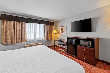 Room, 1 King Bed, Accessible, Non Smoking