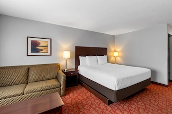 Standard Room, 1 King Bed with Sofa bed, Non Smoking
