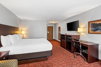 Standard Room, 1 King Bed with Sofa bed, Non Smoking