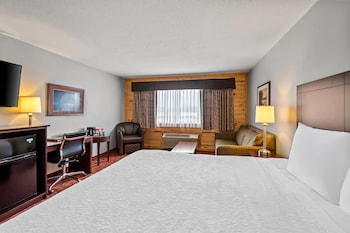 Standard Room, 1 King Bed with Sofa bed, Non Smoking