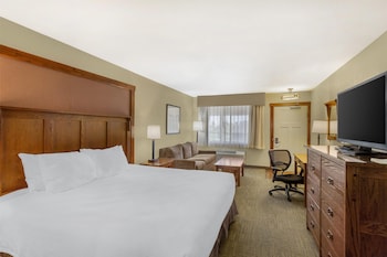 Standard Room, 1 King Bed, Non Smoking, Refrigerator & Microwave