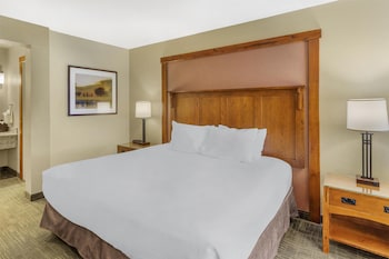 Standard Room, 1 King Bed, Non Smoking, Refrigerator & Microwave