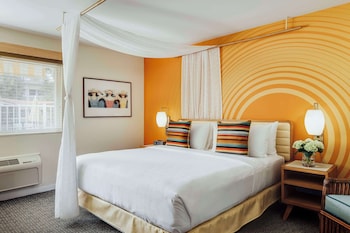 Room, 1 King Bed