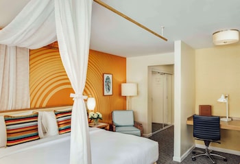 Room, 1 King Bed