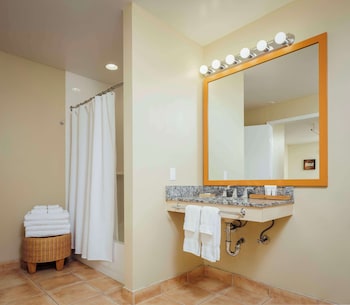 Basic Suite, 1 Bedroom (1 King Bed & 1 Sofa Bed)