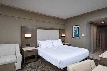 Room, 1 King Bed, Non Smoking