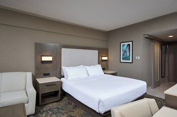 Room, 1 King Bed, Non Smoking