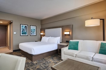 Deluxe Room, 1 King Bed