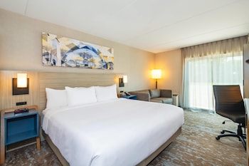 Room, 1 King Bed, Non Smoking (Upgrade)