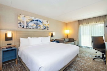 Room, 1 King Bed, Non Smoking (Upgrade)