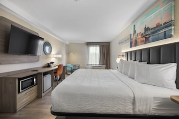Room, 1 King Bed, Accessible, Non Smoking
