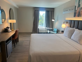 Deluxe Room, 1 King Bed, Non Smoking