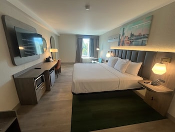 Deluxe Room, 1 King Bed, Non Smoking