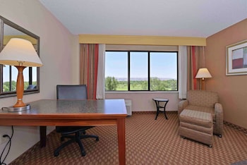 Room, 1 King Bed, Non Smoking