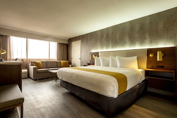 Platinum King Room