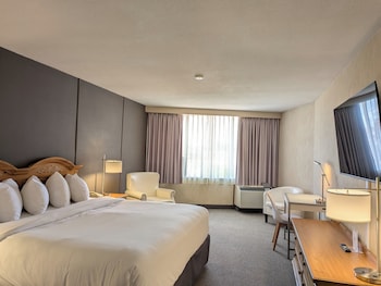 Standard Room, 1 King Bed, City View