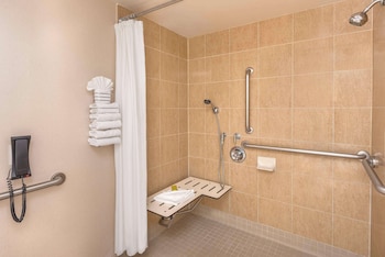 Basic Room, 1 King Bed, Accessible (Roll In Shower)