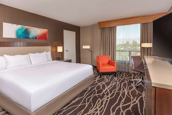 Basic Room, 1 King Bed, Accessible (Roll In Shower)
