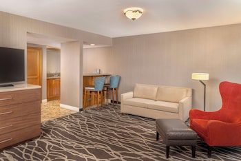 Basic Room, 1 King Bed (Parlor)
