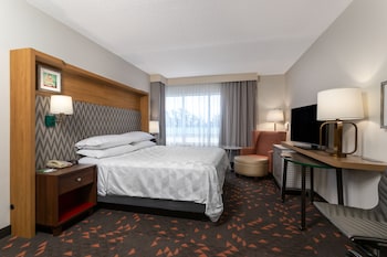 Standard Room, 1 King Bed