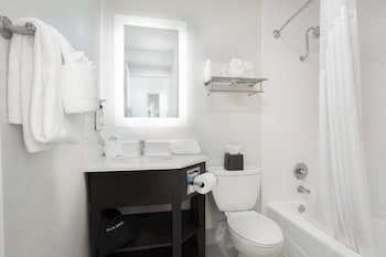Room, 1 King Bed