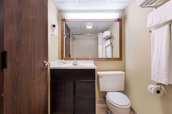 Deluxe Studio Suite, 1 King Bed, Non Smoking