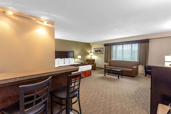 Studio Suite, 1 King Bed, Non Smoking