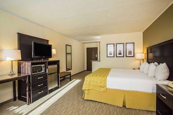 Deluxe Studio Suite, 1 King Bed, Non Smoking