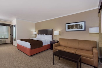 Room, 1 King Bed, Accessible, Non Smoking (Mobility Accessible)