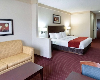 Standard Room, 1 King Bed, Non Smoking