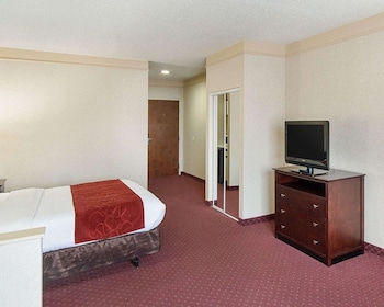 Suite, 1 King Bed with Sofa bed, Accessible, Non Smoking
