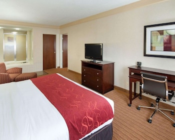Suite, 1 King Bed with Sofa bed, Non Smoking