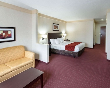Suite, 1 King Bed with Sofa bed, Accessible, Non Smoking